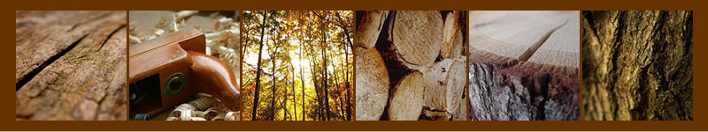 Tischlermeisterin Christine Heisel